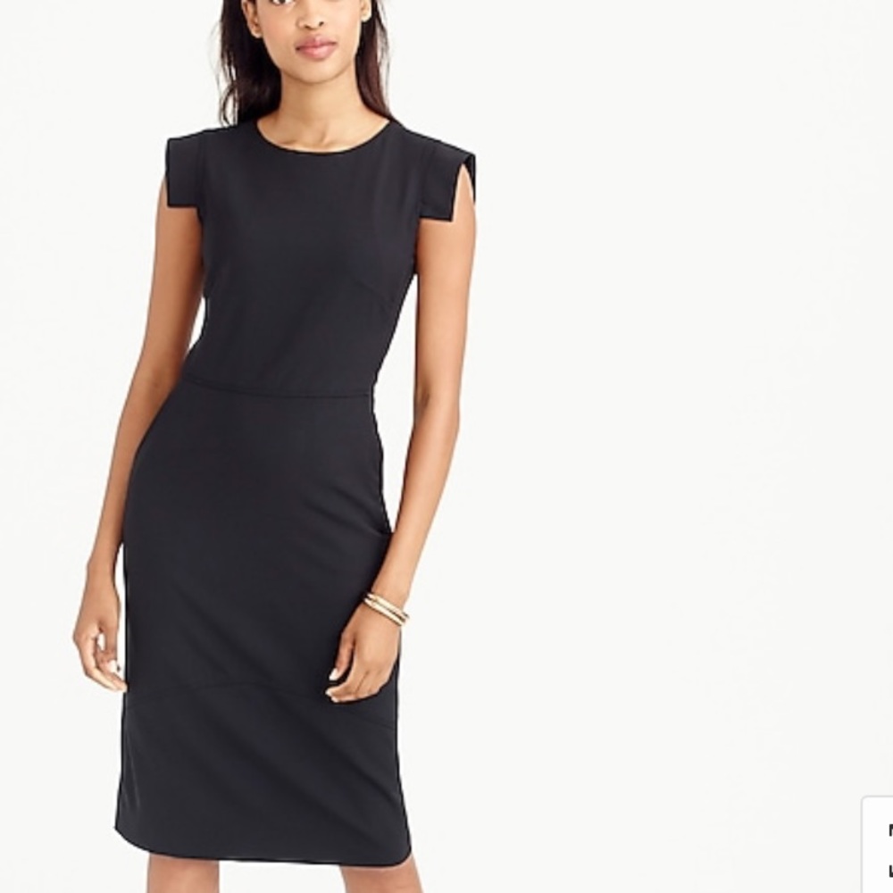 J.Crew Resume Dress - Size 6